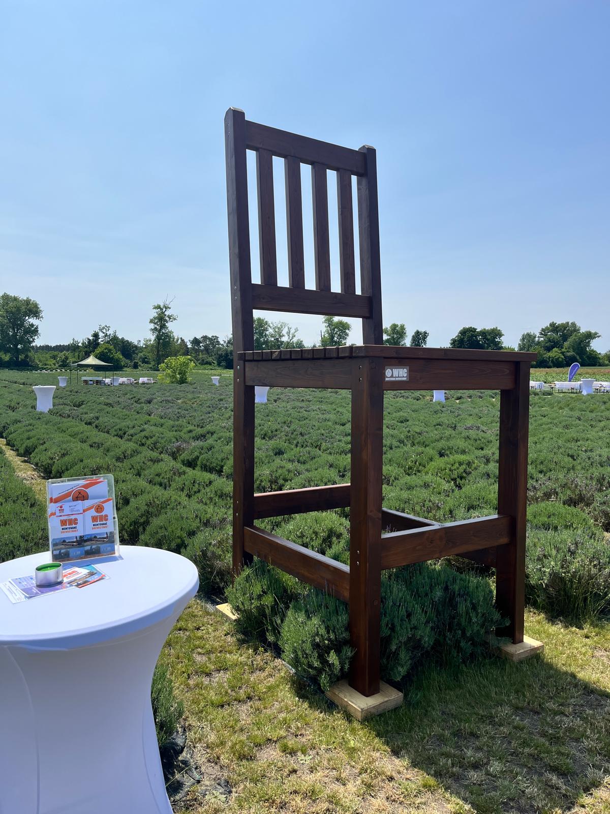 WhatsApp Image 2025 08 15 at 13.31.40